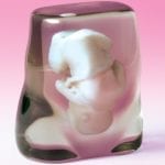 Latest trends: 3D Replica of Your Fetus 