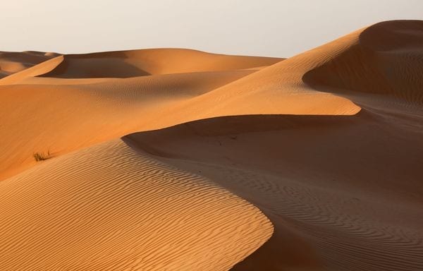 Print_Abu-Dhabi-desert
