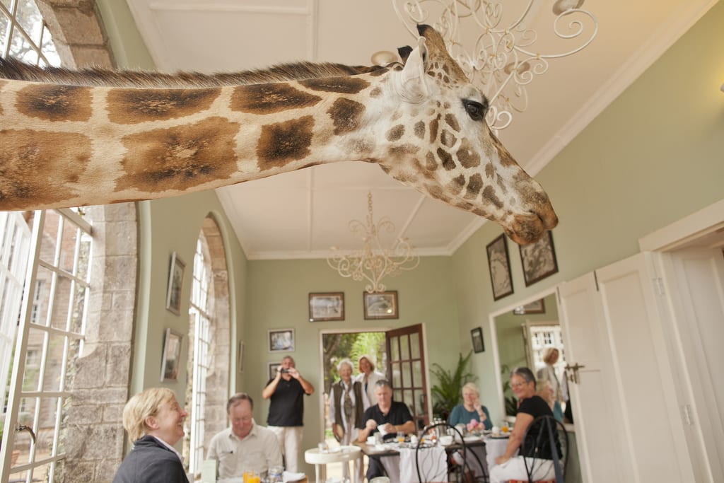 Giraffe Manor