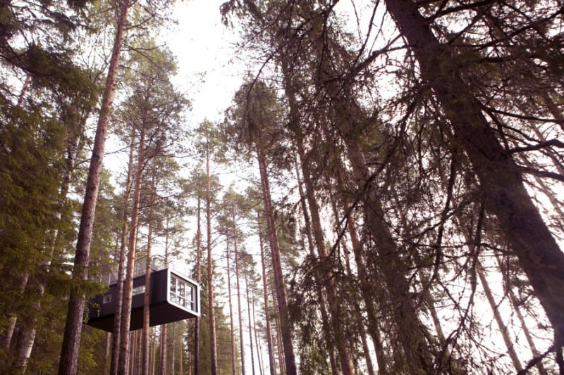 Treehotel, Harads, Sweden